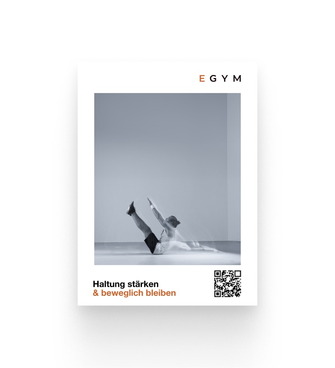 Kampagnensystem / Poster 03