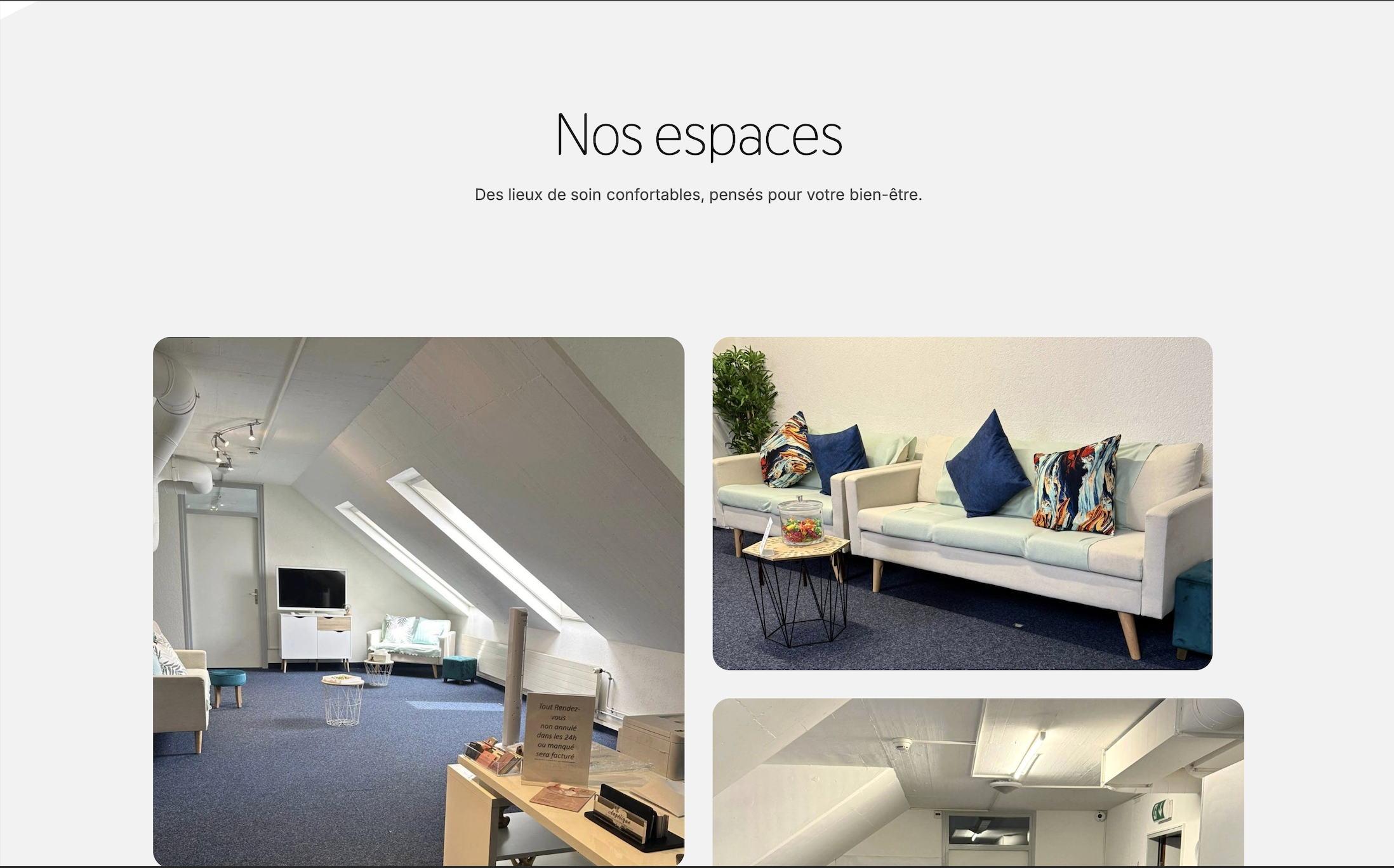 image of healthcare professional using ai software