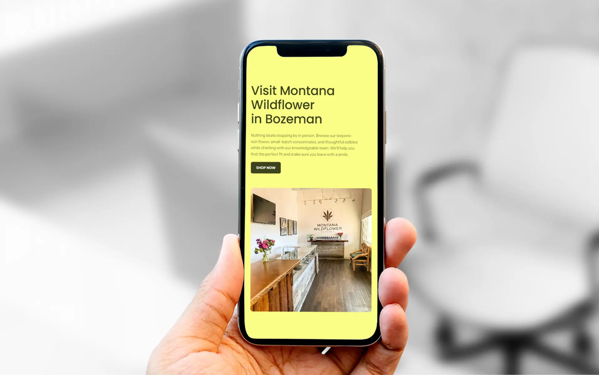 image of desk setup with computer (for a game development company)