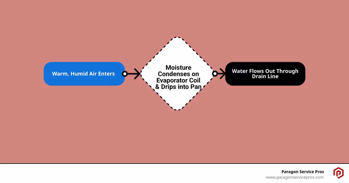 Detailed infographic showing how an AC system creates condensation on the evaporator coil, collects water in the drain pan, and channels it through the condensate drain line to exit the home, with arrows indicating water flow and labels for each component - AC drain line infographic flowmap_simple