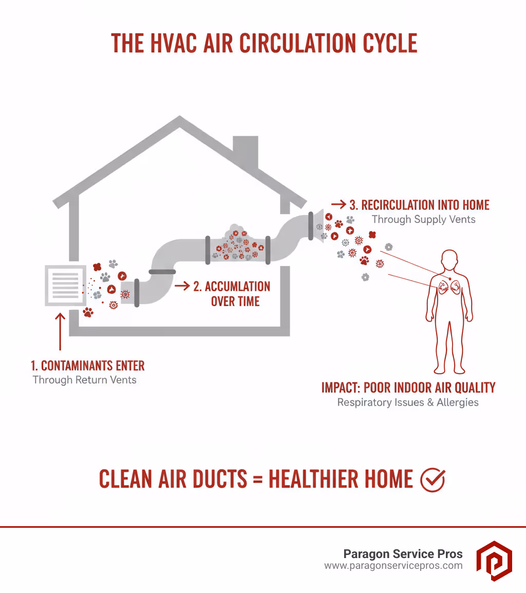 Infographic showing how dust, allergens, pet dander, and pollen enter a home's HVAC system through return vents, accumulate in ductwork over time, and then circulate back into living spaces through supply vents, affecting indoor air quality and triggering respiratory issues - air duct cleaning bluffdale, ut infographic 
