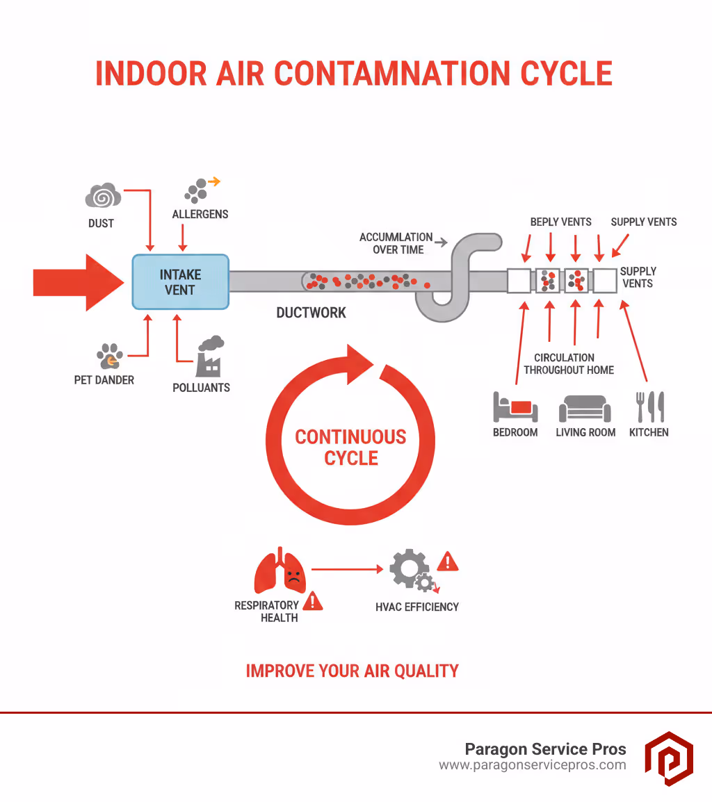 Infographic showing how dust, allergens, pet dander, and pollutants enter through HVAC intake vents, accumulate in ductwork over time, and are then circulated throughout all rooms of a home via supply vents, creating a continuous cycle of indoor air contamination that affects respiratory health and HVAC system efficiency - air duct cleaning chandler, az infographic 