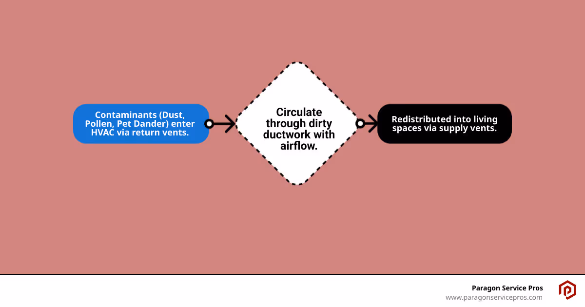 Infographic showing how dust, pollen, pet dander, and debris enter a home's HVAC system through return vents, circulate through ductwork, and are redistributed throughout living spaces via supply vents, with arrows indicating airflow direction and labels for common contaminants found in Gilbert homes - air duct cleaning gilbert, az infographic flowmap_simple