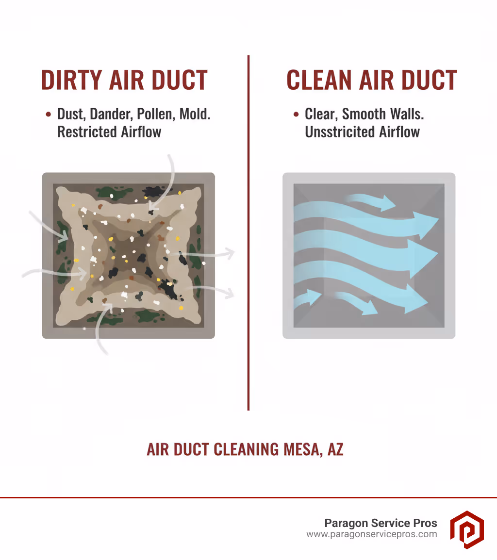 Infographic showing a side-by-side comparison of a dirty air duct cross-section filled with dust, pet dander, pollen, and visible mold growth on the left, versus a clean, clear air duct with smooth interior walls and unrestricted airflow on the right - air duct cleaning mesa, az infographic 