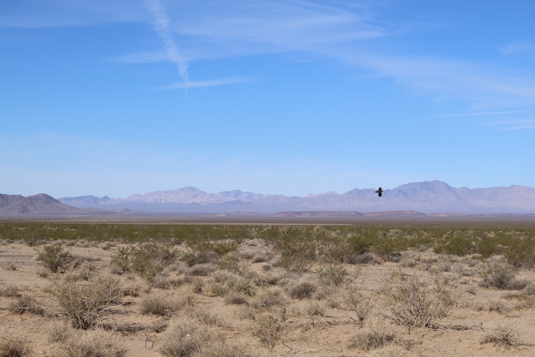 Top-Rated AC Maintenance in Gold Canyon, AZ?