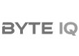 BYTE IQ logo text in gray.