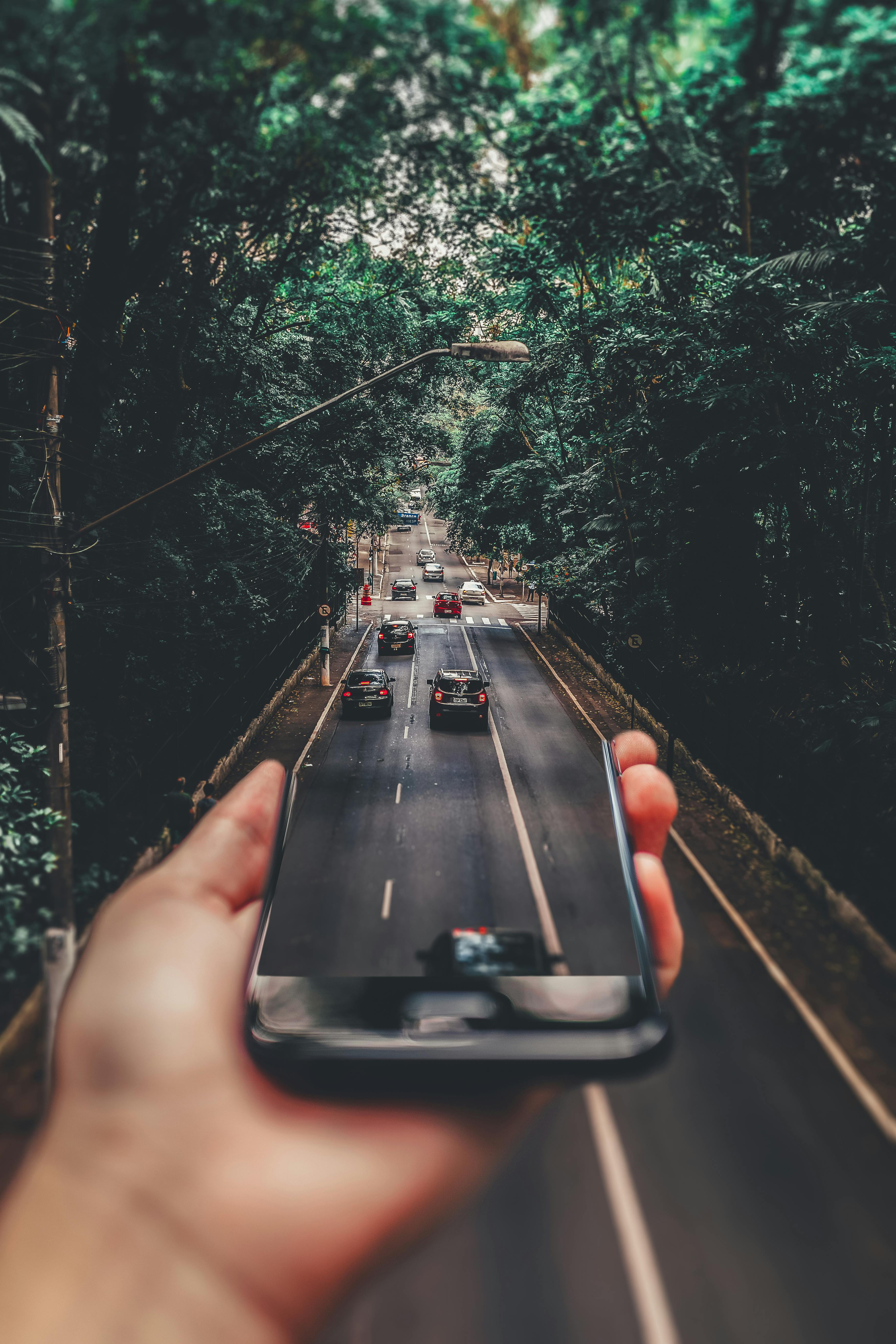 A hand holding a smartphone that displays a continuation of the tree-lined road with cars driving on it.