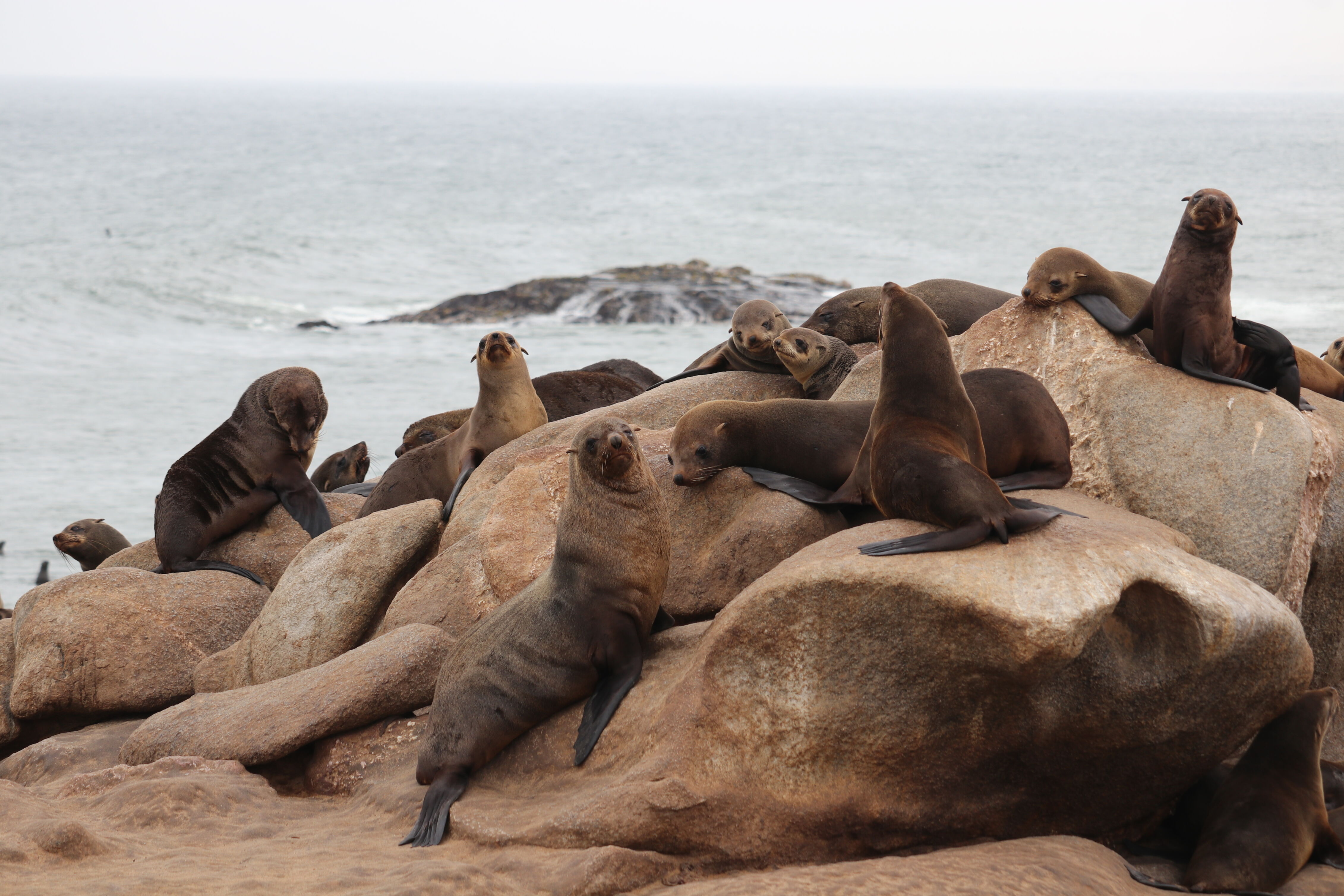 image of a guided tour group