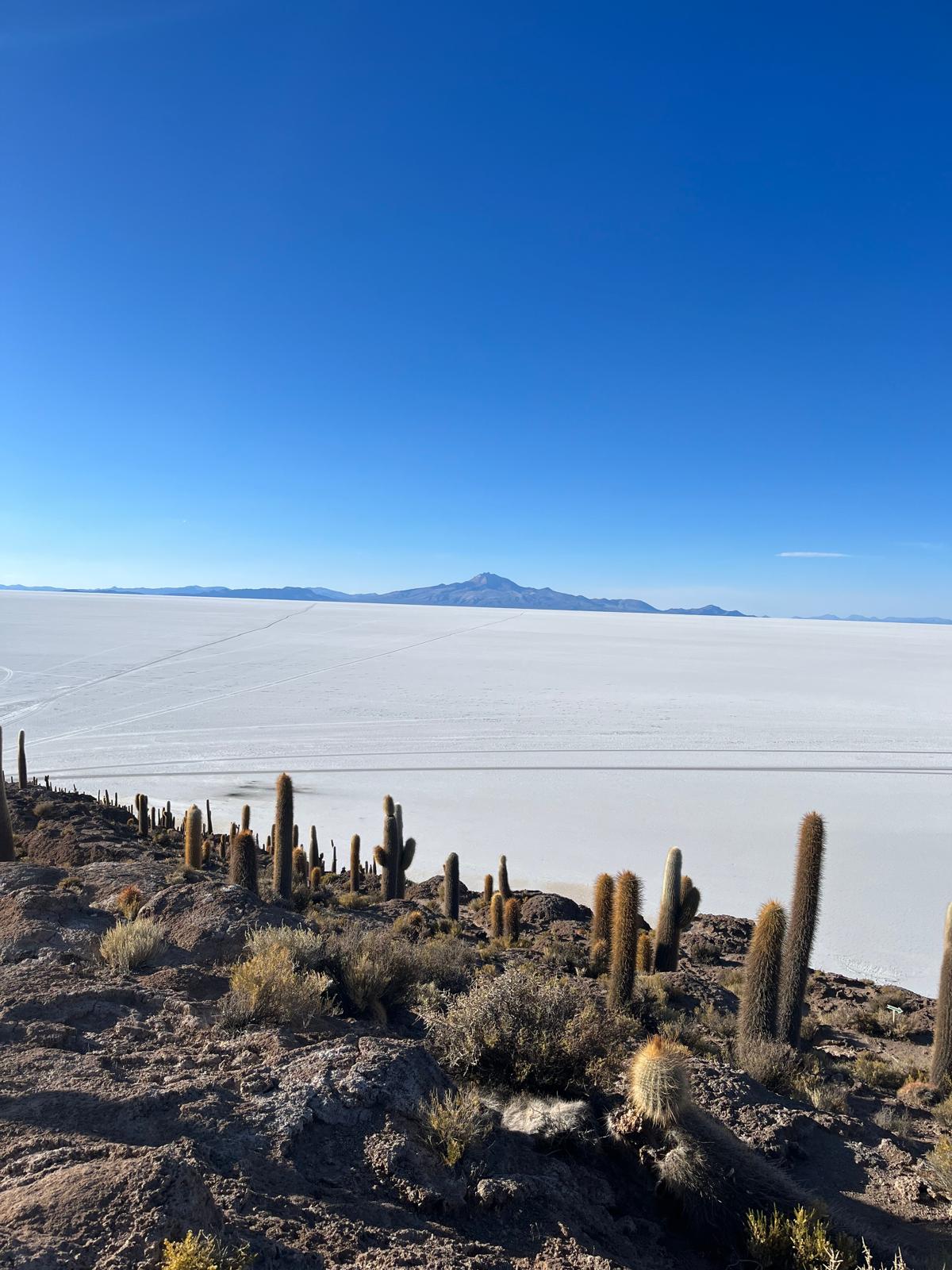 image of vibrant dining space (for a mexican restaurant)