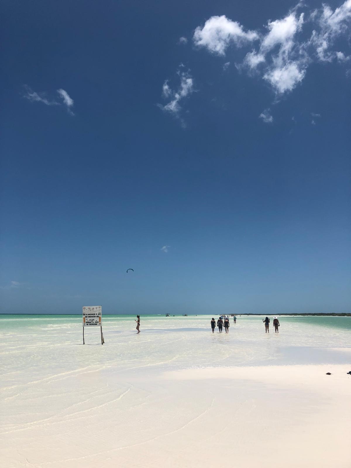 image of vibrant dining space (for a mexican restaurant)