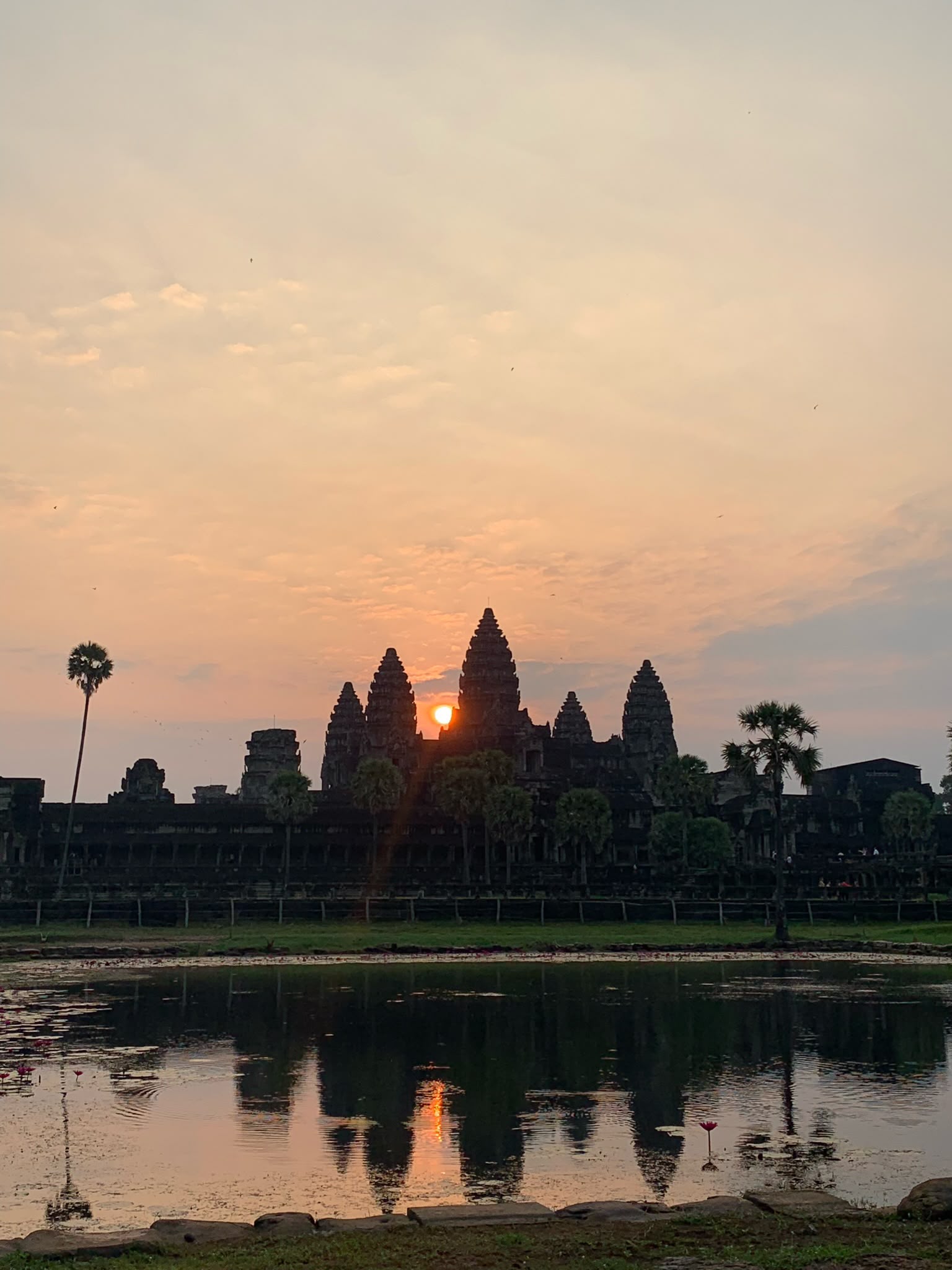 image of a local tour guide (for a travel agency)