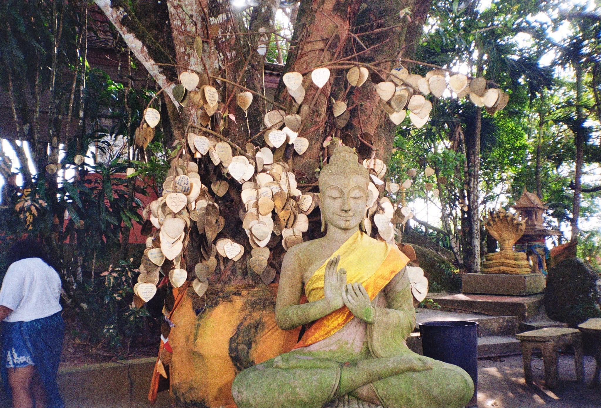 image of a local tour guide (for a travel agency)