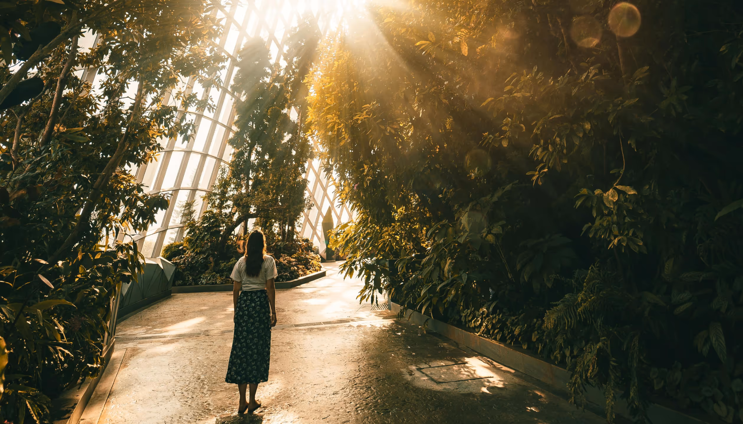  Real Beauty Is Cellular Health