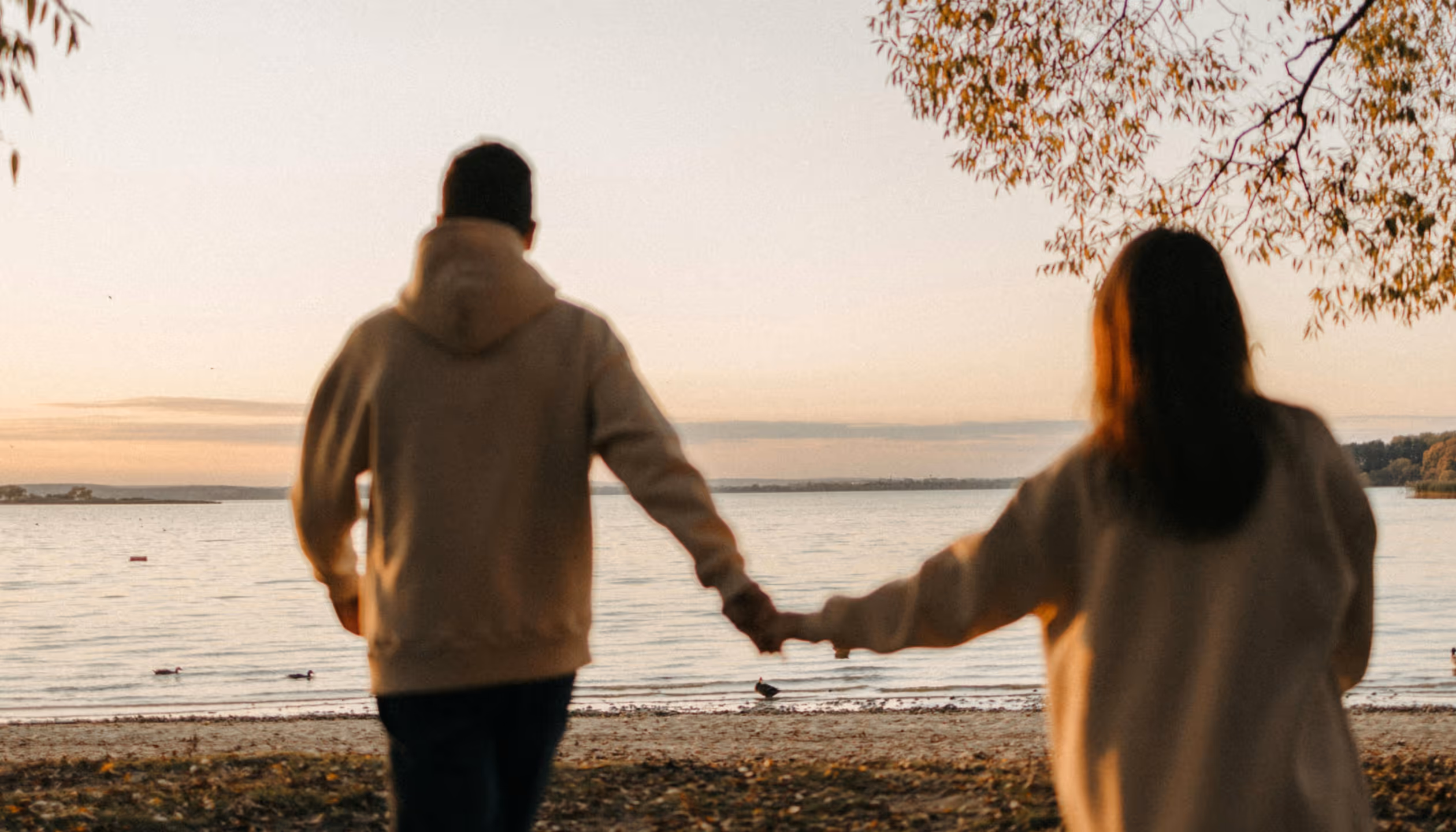 The Mind Reset: 3 Simple Habits to Calm a Busy Brain