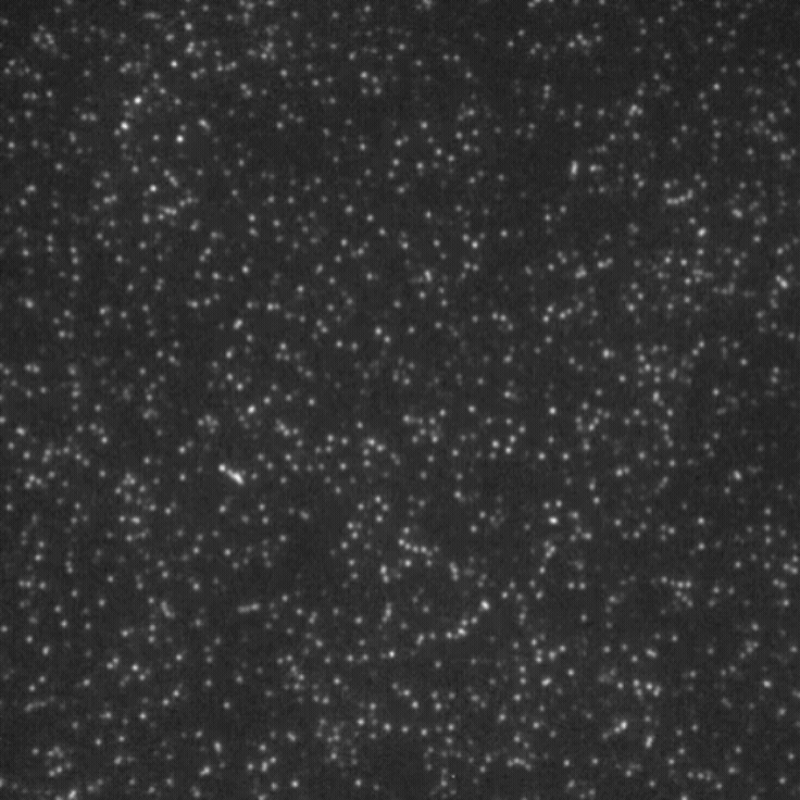 Blinking white dots on a black background.