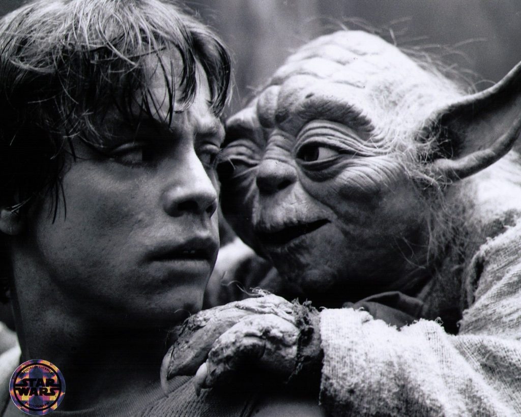 Luke and Yoda in the Empire Strikes Back
