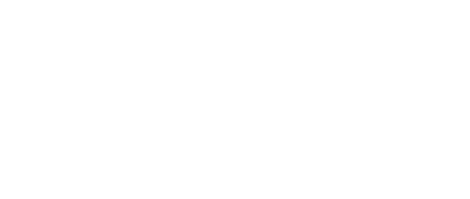 Voice