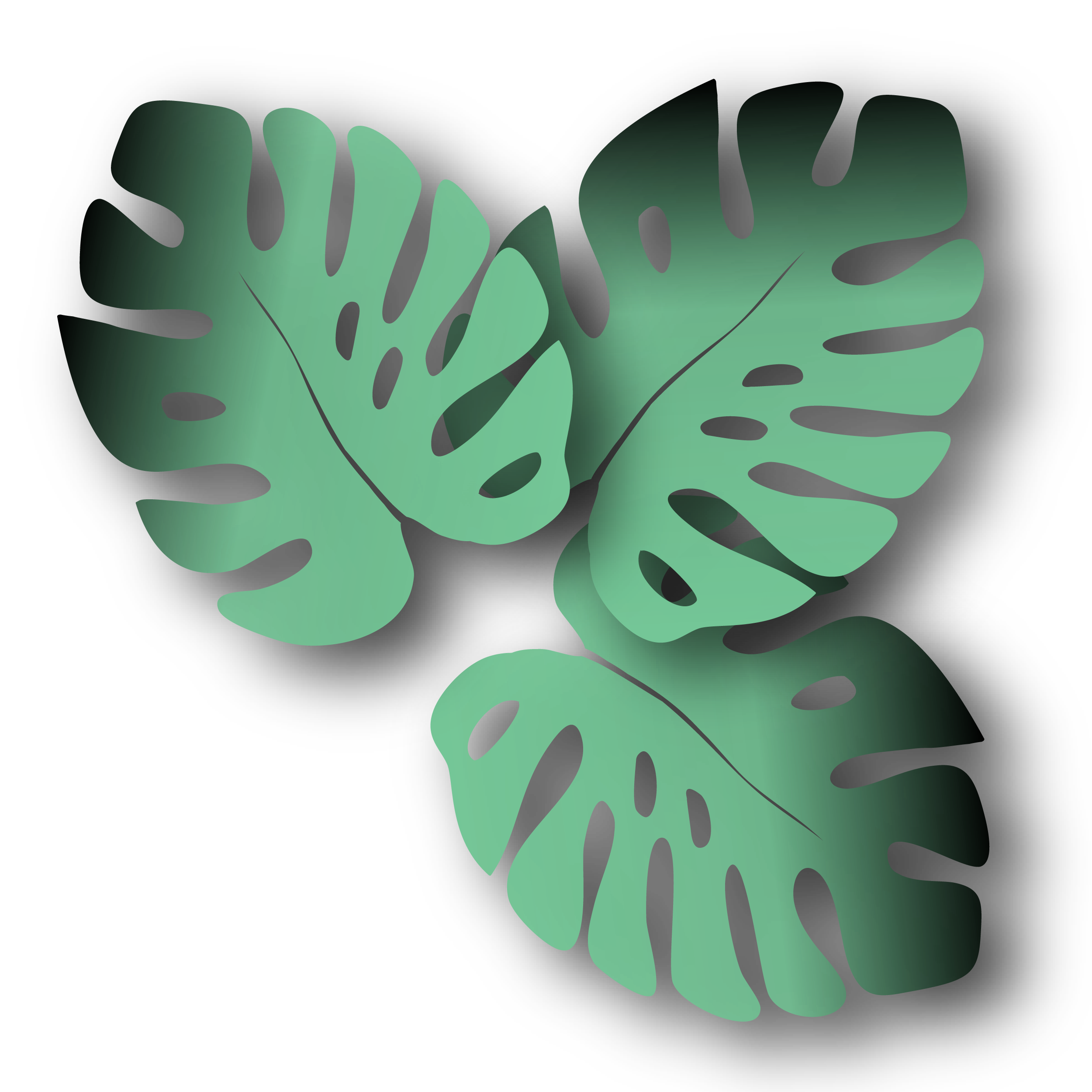 Skinelan Leaf Design
