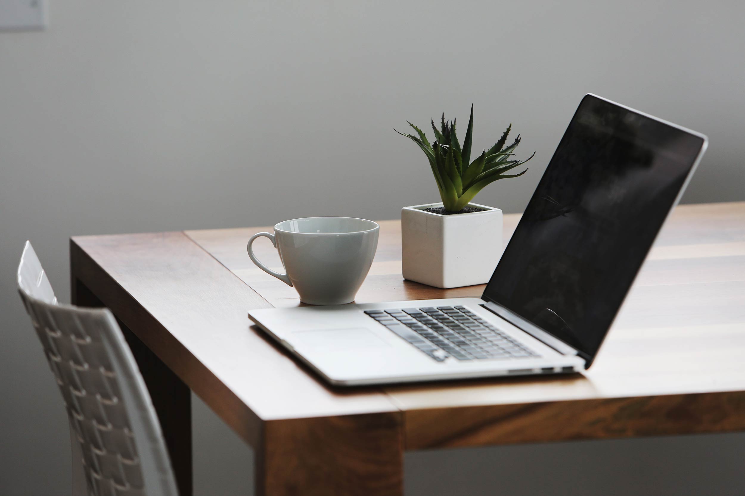 Wooden desk with an open laptop, a white coffee cup, and a small potted succulent plant.
