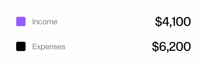 User income dashboard preview