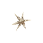 Light beige starfish with five arms on a white background.