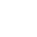 Icon representing the PDF format.