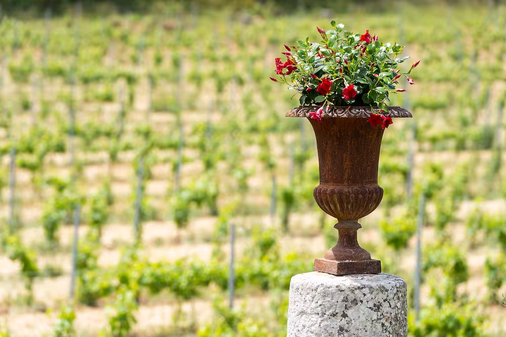 Un vase en métal rouillé posé sur un piédestal en pierre avec des fleurs rouges et vertes, devant un vignoble flou.