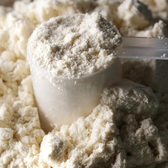 Breaking Down Protein Solubility: Why It Matters