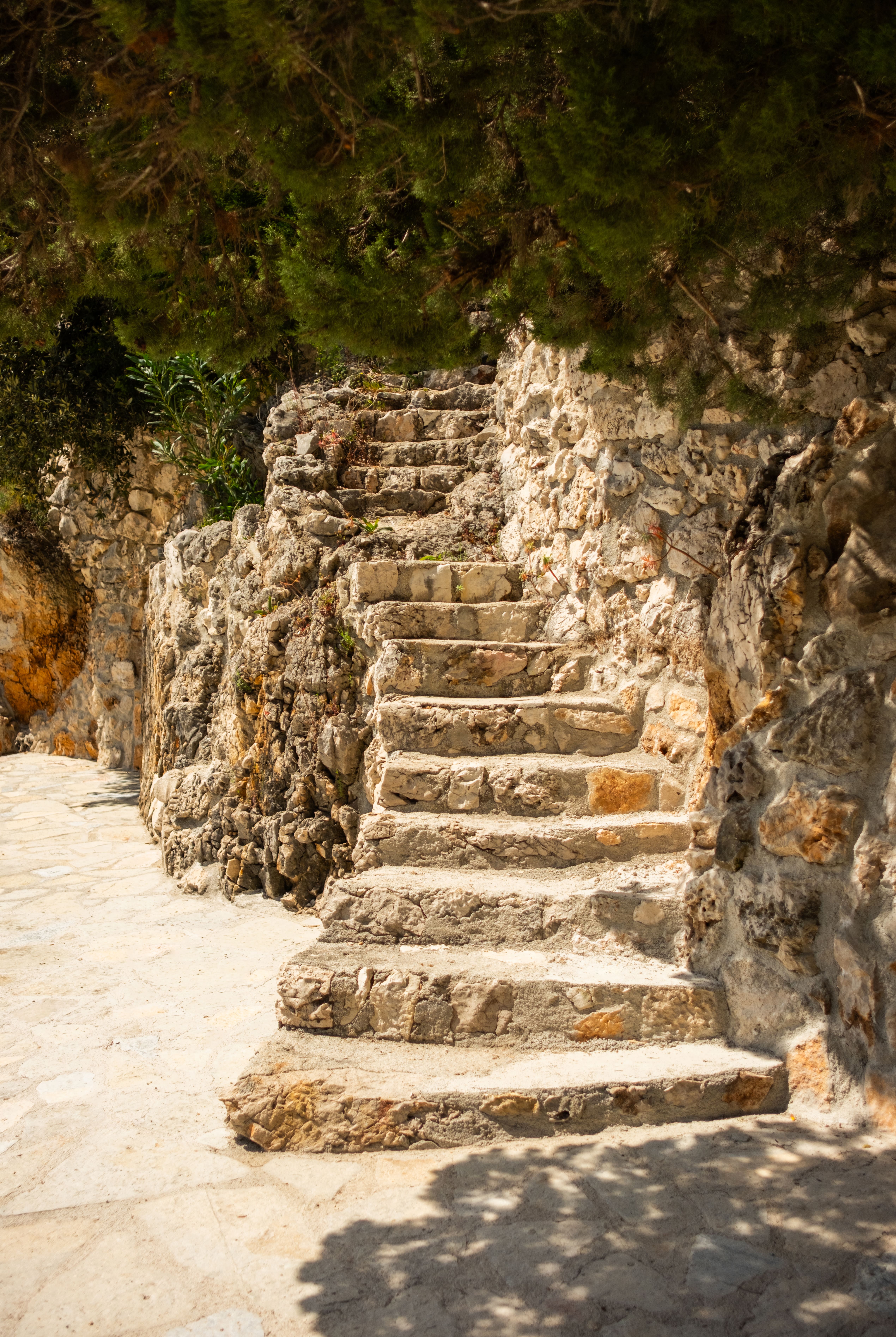Sunlit stone steps ascending between rugged stone walls beneath green foliage.