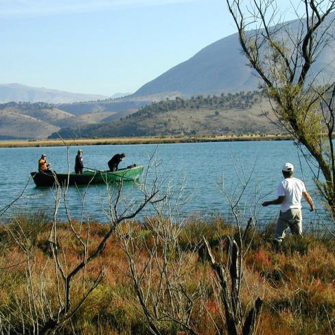 Three people fishing from a green boat on a lake with mountains in the background and one person standing on the shore.