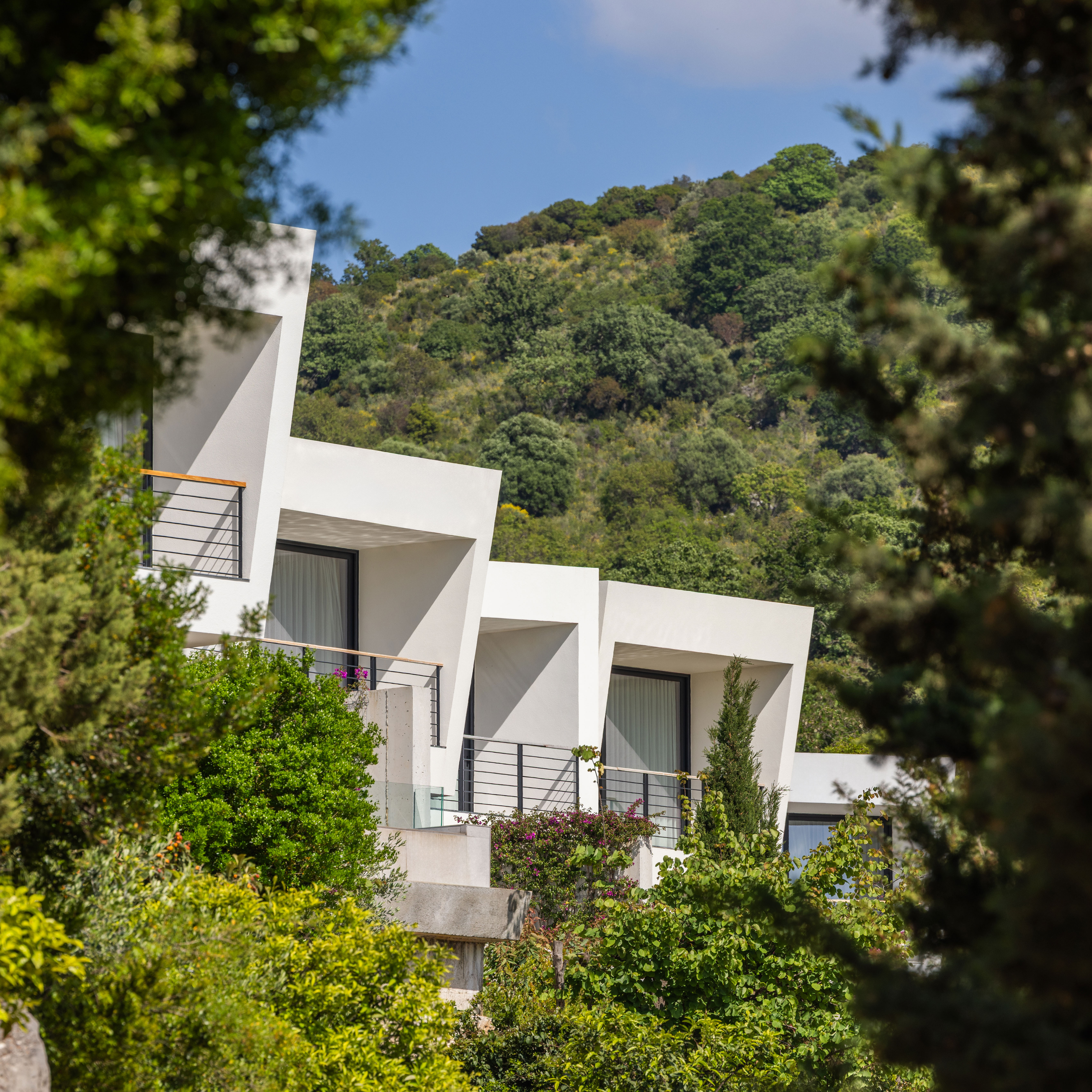 White modern terrace balconies overlooking dense green foliage with a forested hill in the background under a blue sky.