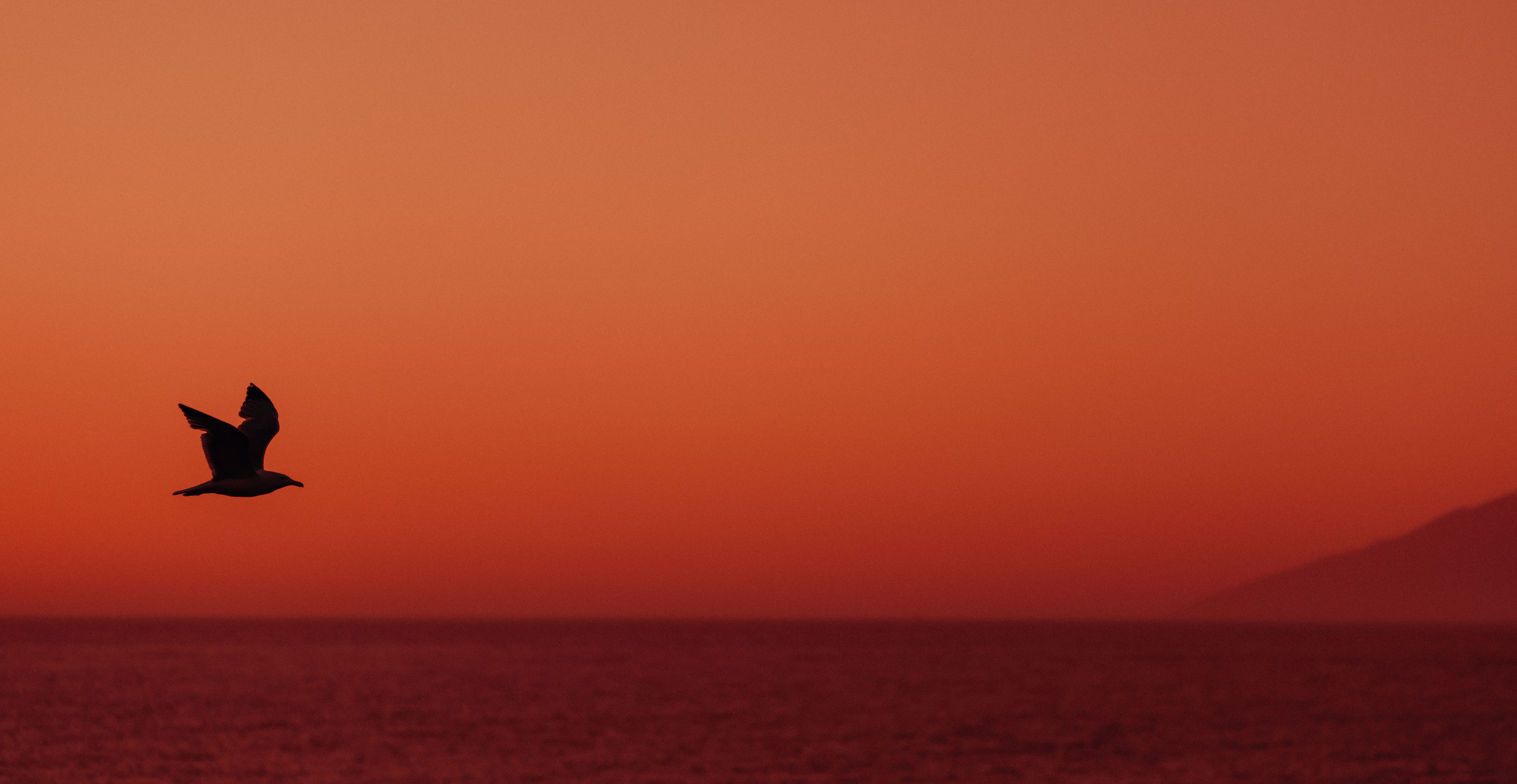 Belong. - The New Kep Merli Chapter