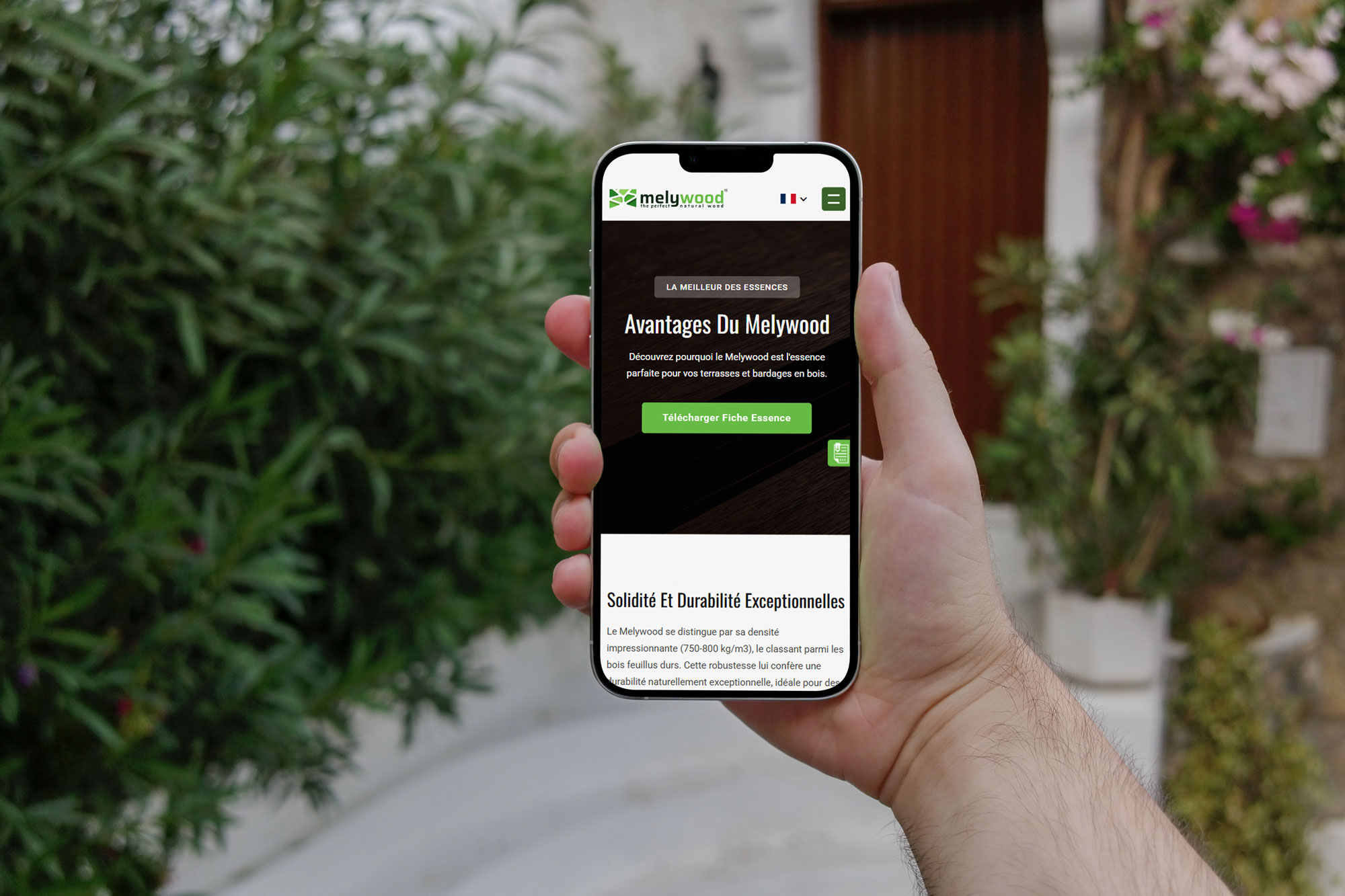 Melywood | Worldwide