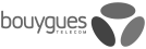 Logo Bouygues