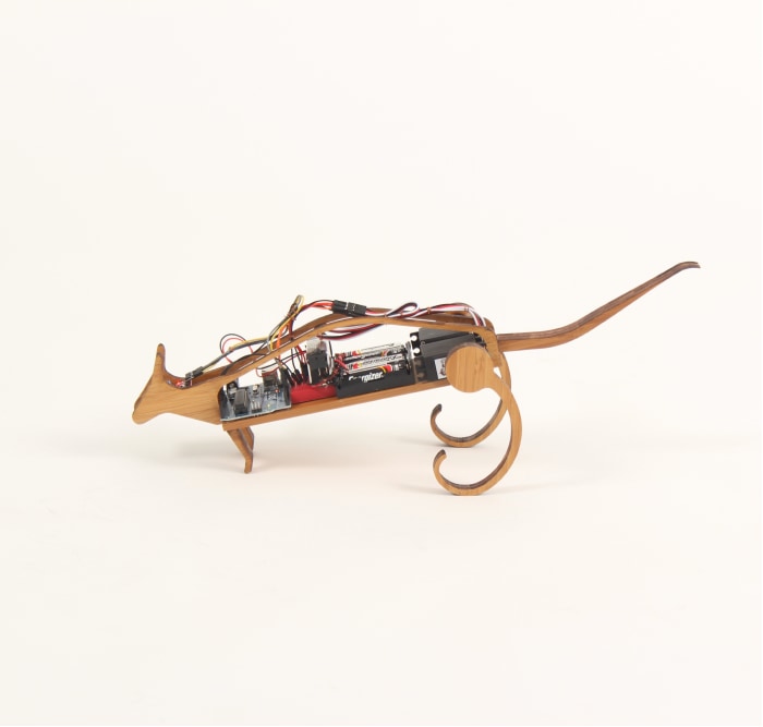 Robo Pet | Alhaan Ahmed