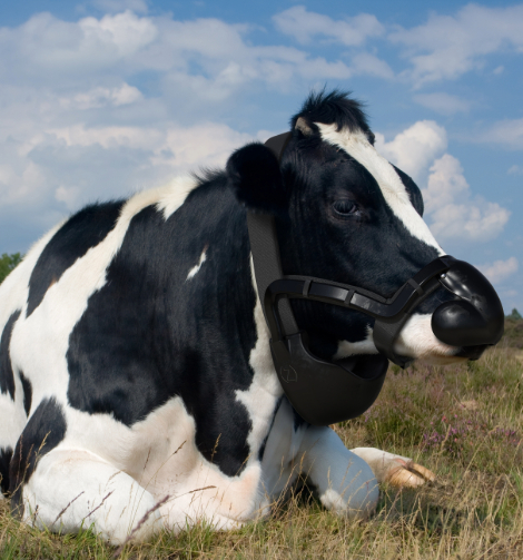 Methane Reducer Wearable 50