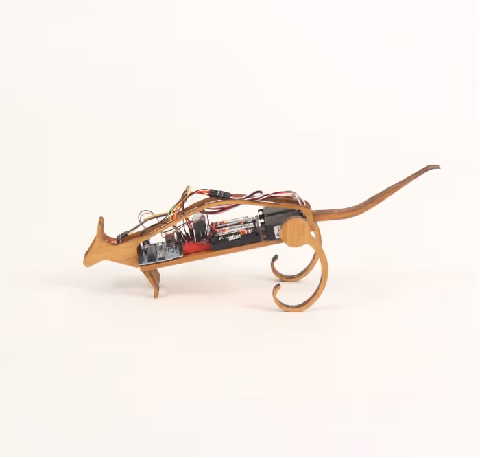 Robo Pet | Alhaan Ahmed