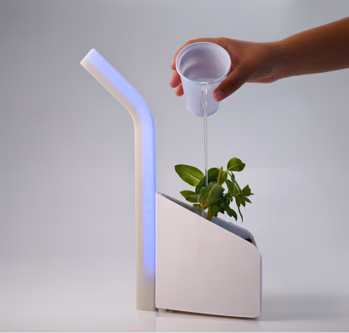 Warden | Arnav Bavishi & Mariam Lambertt