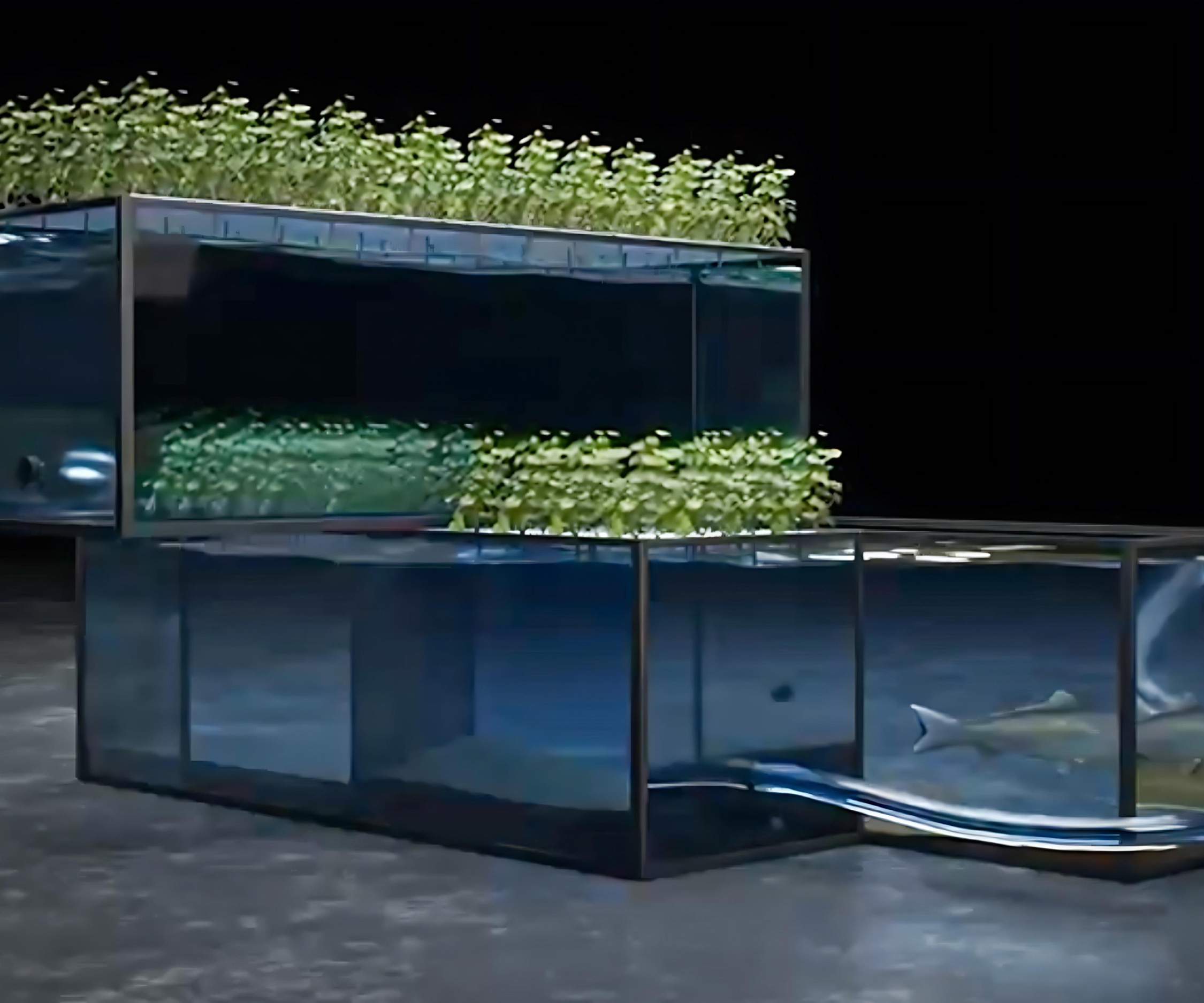 Sebastian is a modular aquaponics system with AI integration.