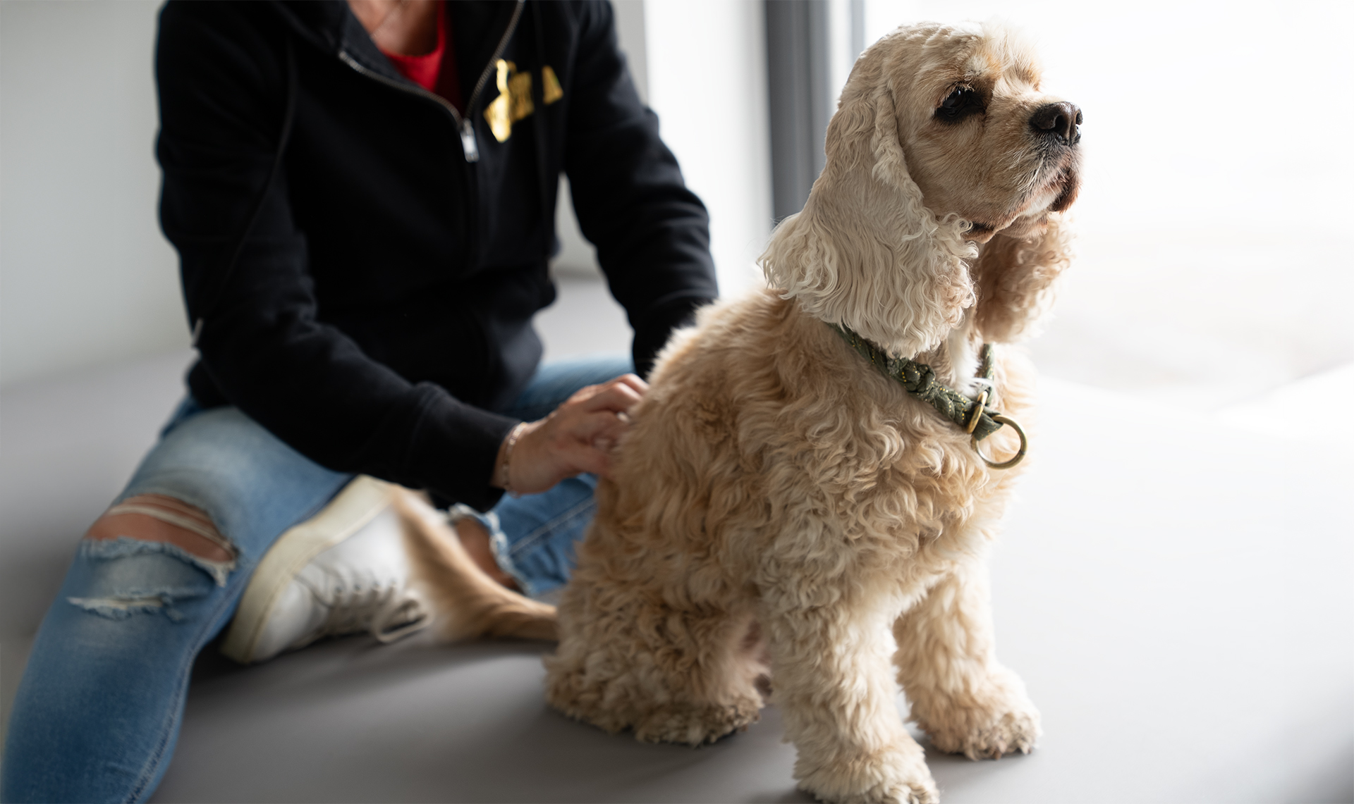 Anwendung Hundephysiotherapie Allgäu