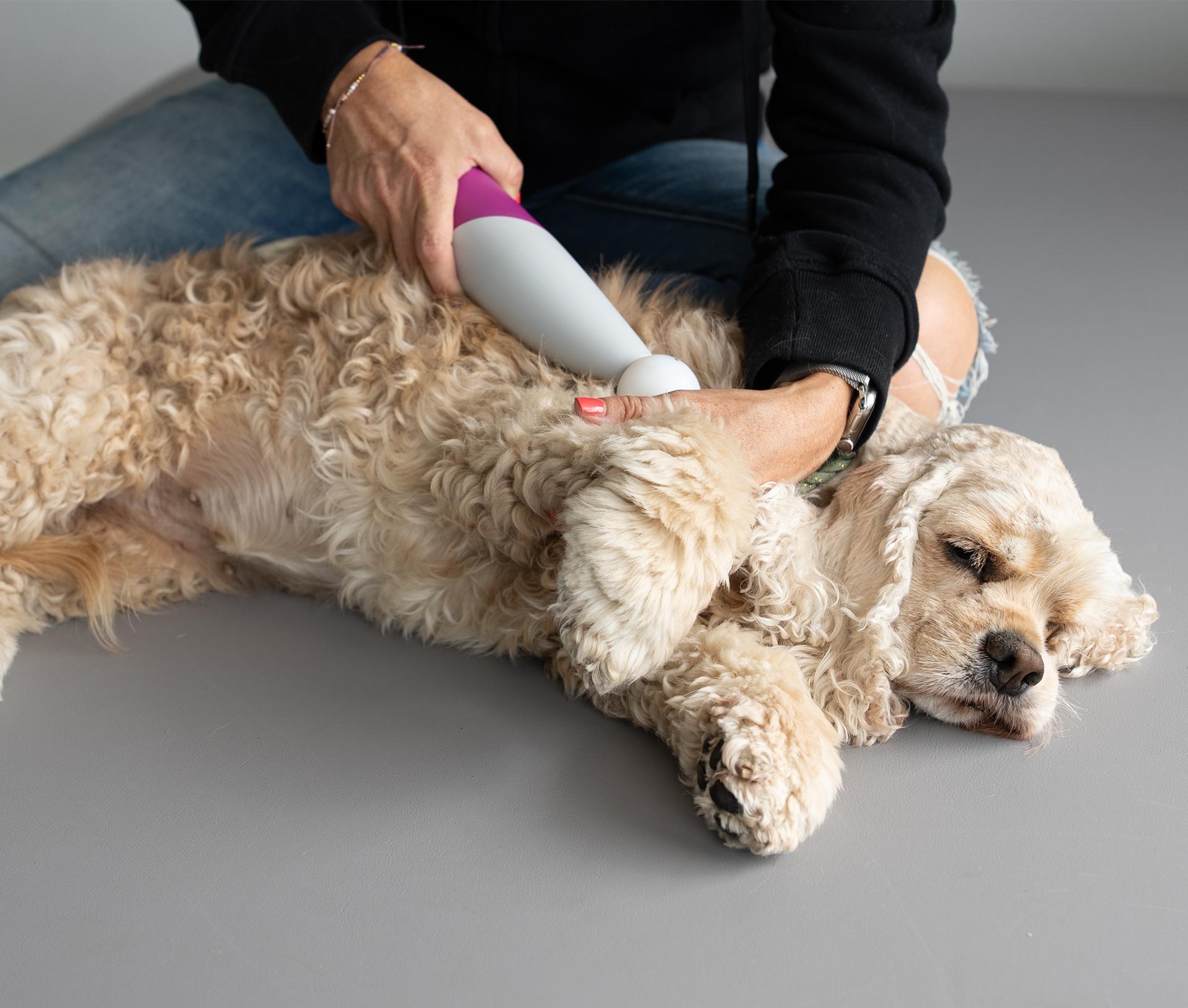 Hundebehandlung Physiotherapie Allgäu