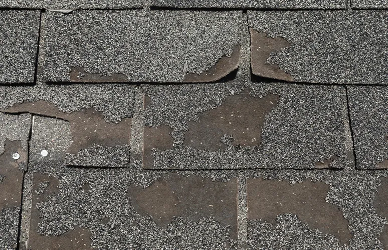 Close-up of asphalt shingles on a roof with noticeable wear, missing granules, and curling edges, indicating damage and aging.
