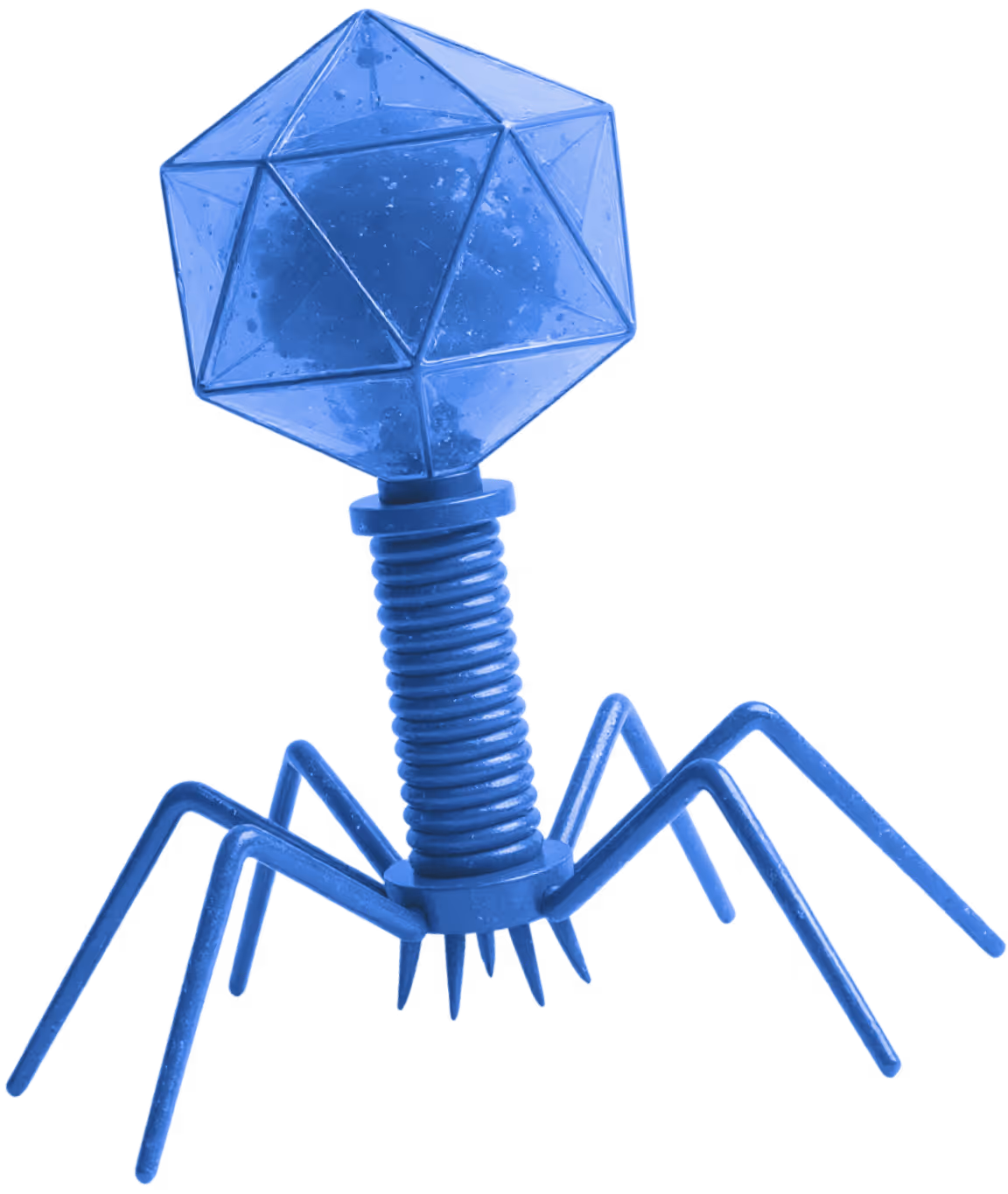 bacteriophage