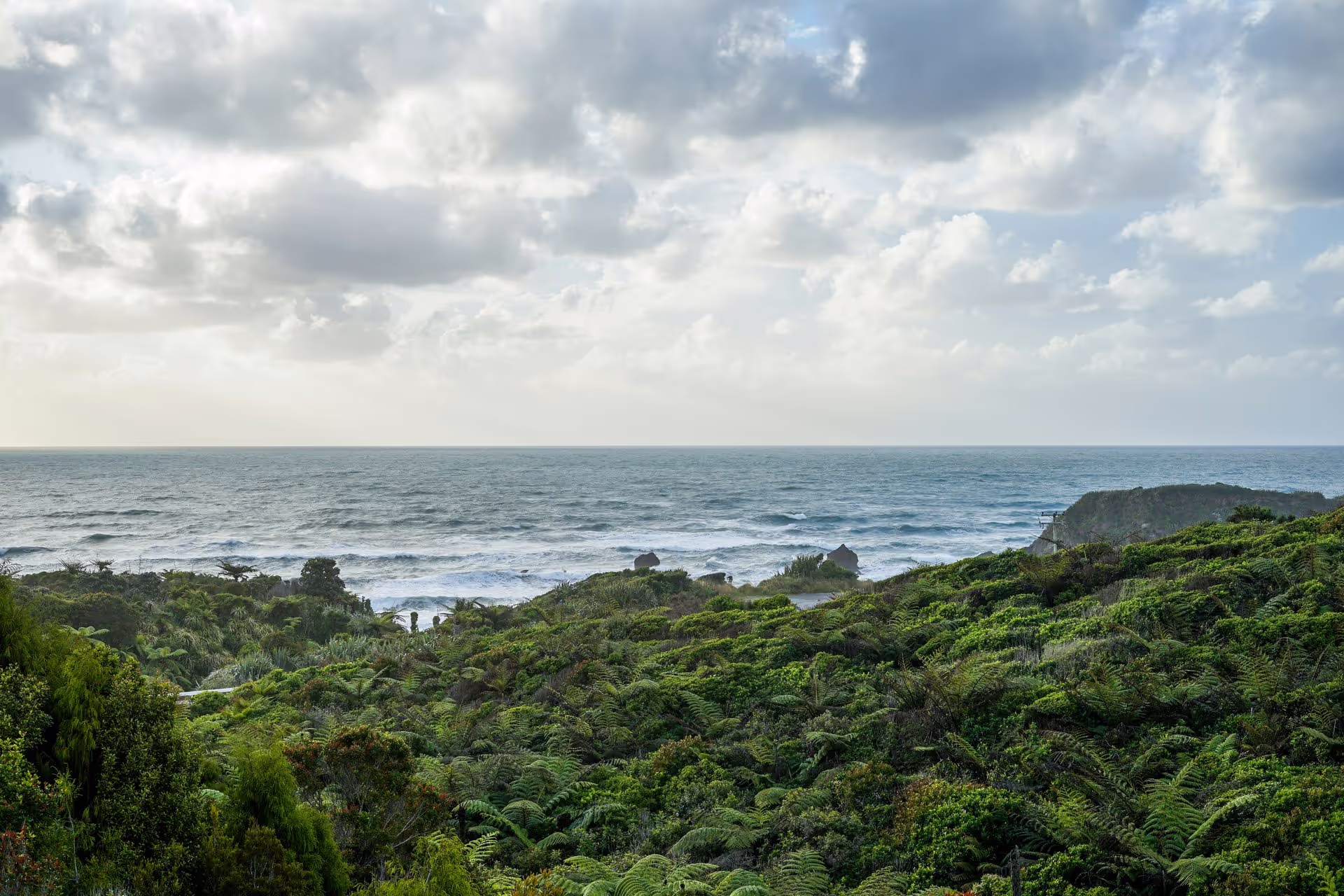 Lush green vegetation leads to a rocky coastline with rolling waves under a cloudy sky, creating a serene coastal landscape.