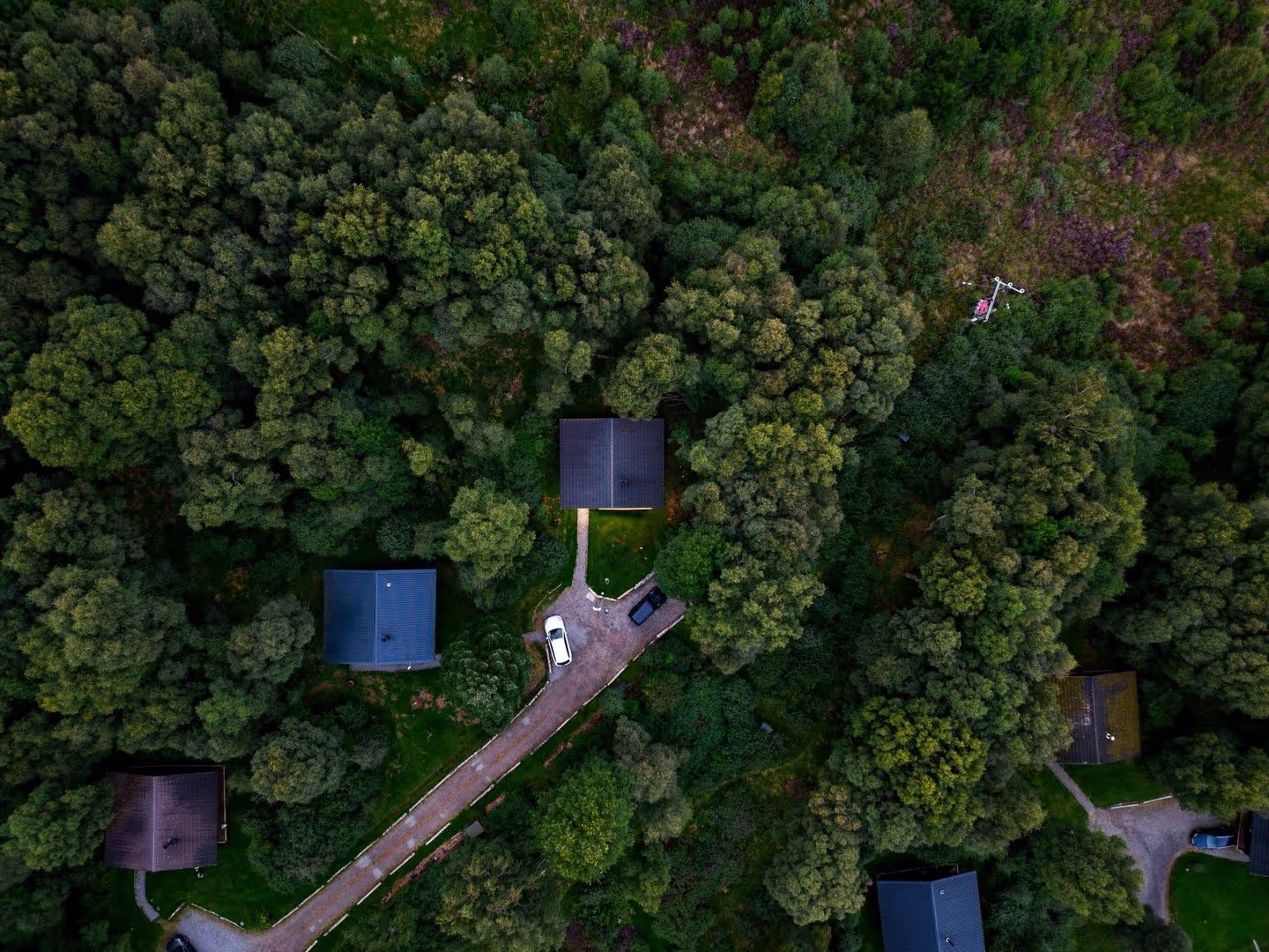 Aerial view of cozy homes nestled among dense green trees, with winding paths and parked cars visible in a tranquil, wooded setting.
