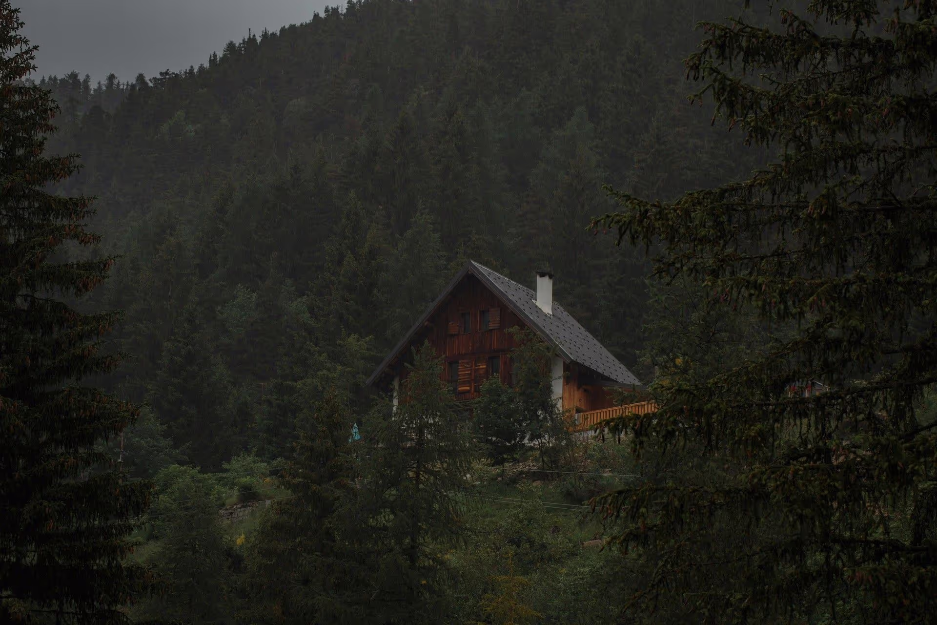 A cozy wooden chalet nestled amidst dense, dark green pine trees on a misty mountain hillside.