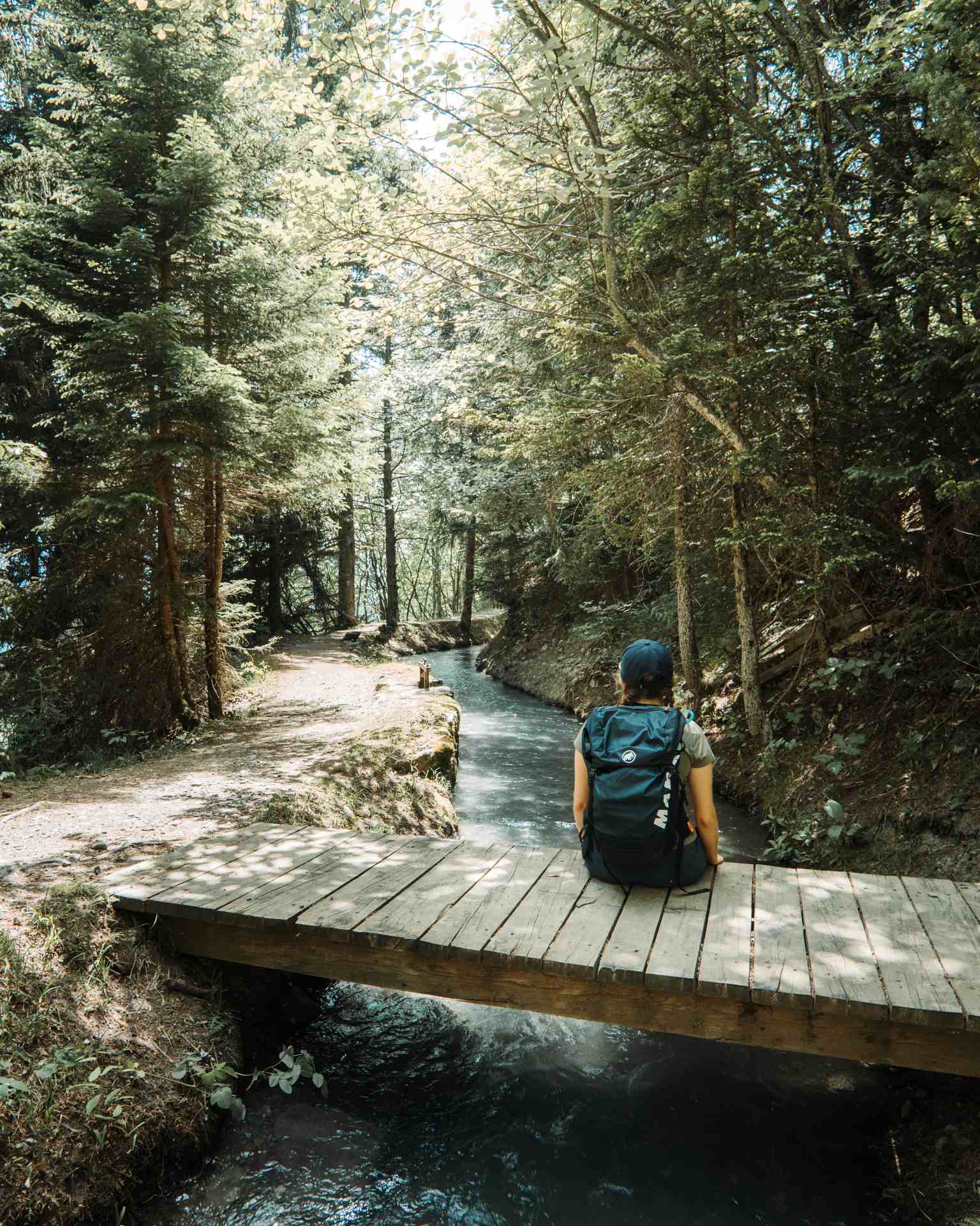 woodland camping bisse