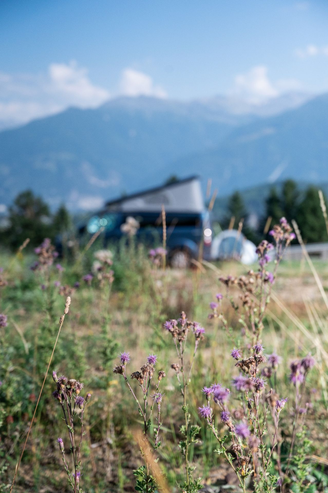 woodland camping anzere valais switzerland suisse