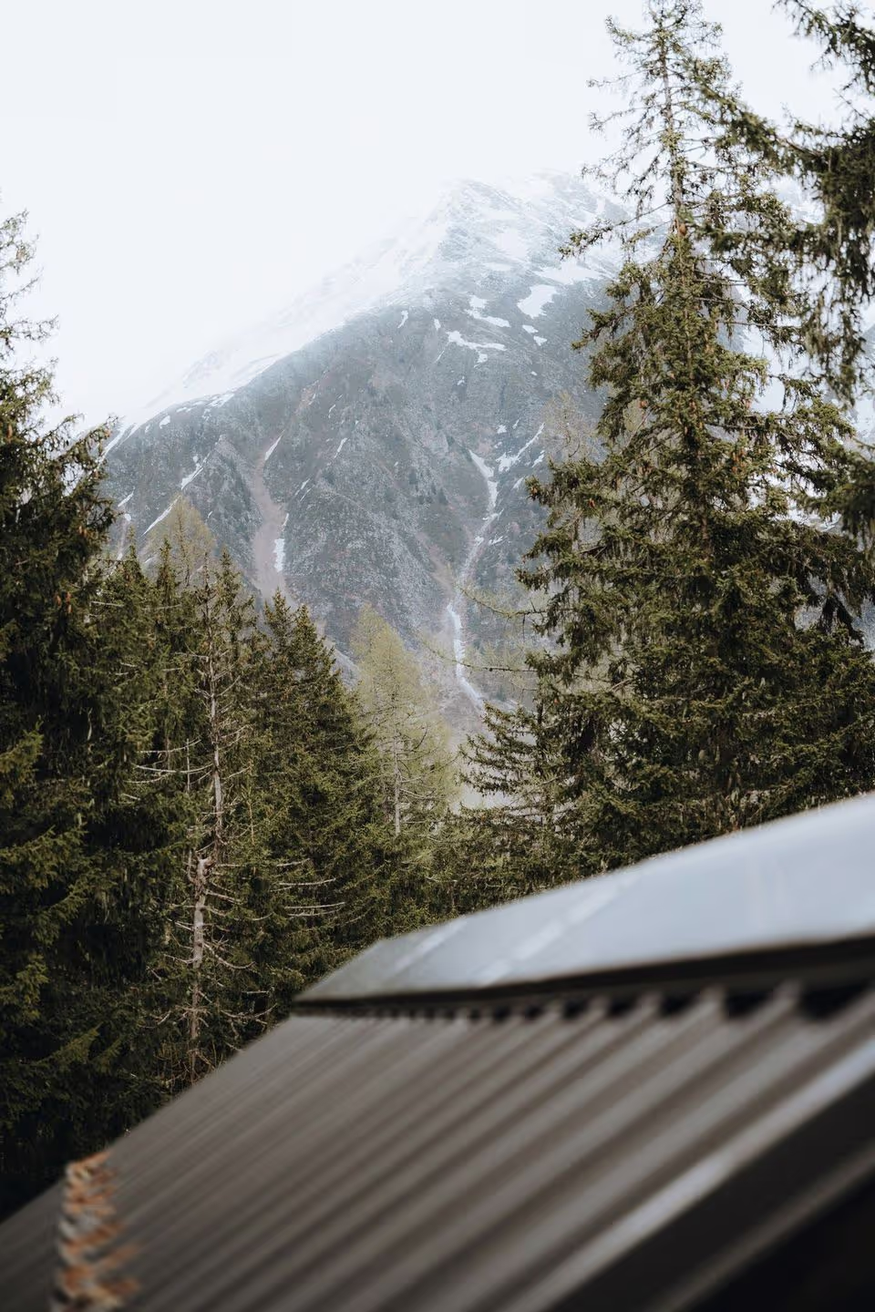 View of a sloped roof among tall evergreen trees, with a misty mountain peak visible in the background under a gray sky.