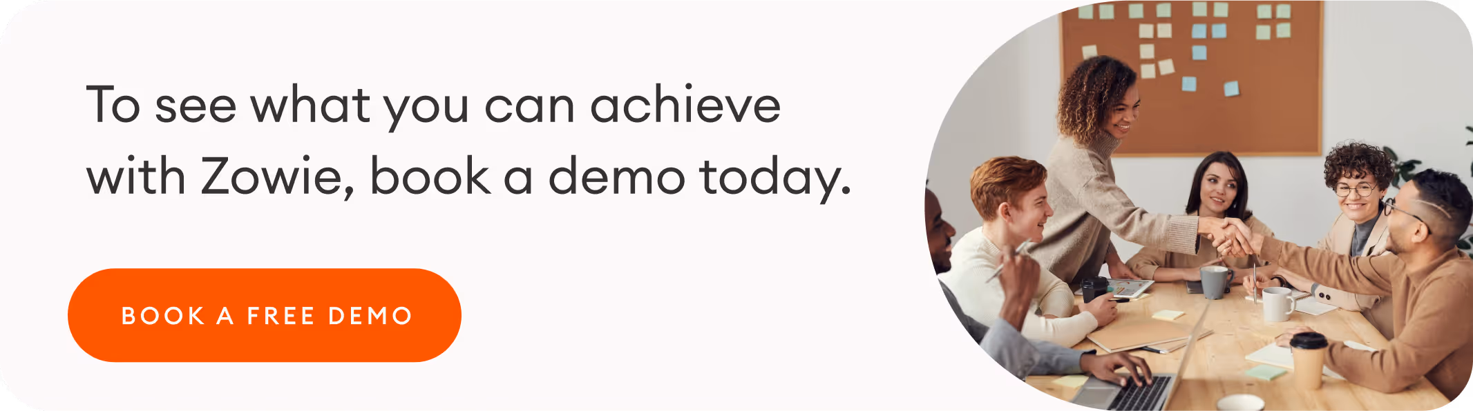 A CTA to book a demo with Zowie